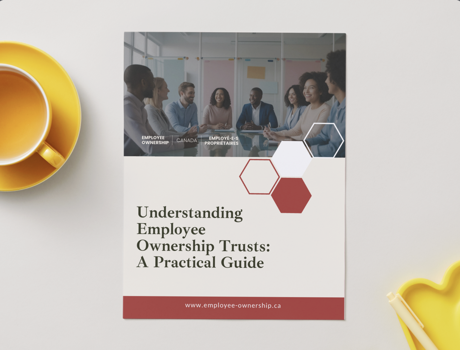 Understanding Employee Ownership Trusts: A Practical Guide