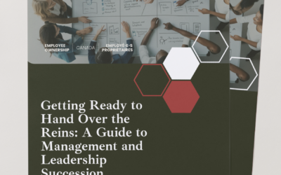 Getting Ready to Hand Over the Reins: A Guide to Management and Leadership Succession